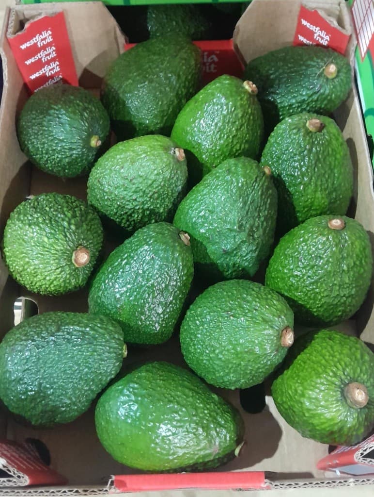 Packed Hass avocados in export crates at MUSSGO Farms, Mafinga