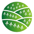 MUSSGO Farms logo — avocado farm in Mafinga, Tanzania