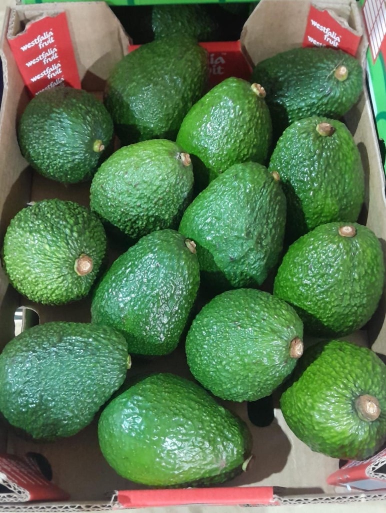 Packed premium Hass avocados from MUSSGO Farms in Mafinga, ready for market