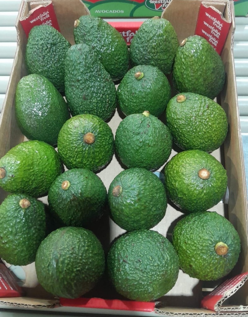 Premium Hass avocados from MUSSGO Farms in Mafinga